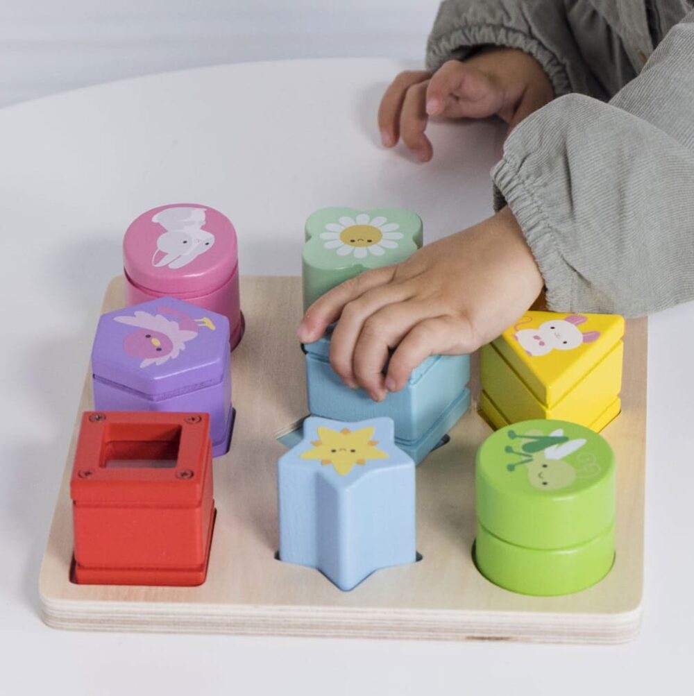 Drewniane-klocki-sorter-zabawka-sensoryczna-edukacyjna-dzieci-Le-Toy-Van-6 Drewniane klocki sorter zabawka sensoryczna, edukacyjna, dzieci Le Toy Van